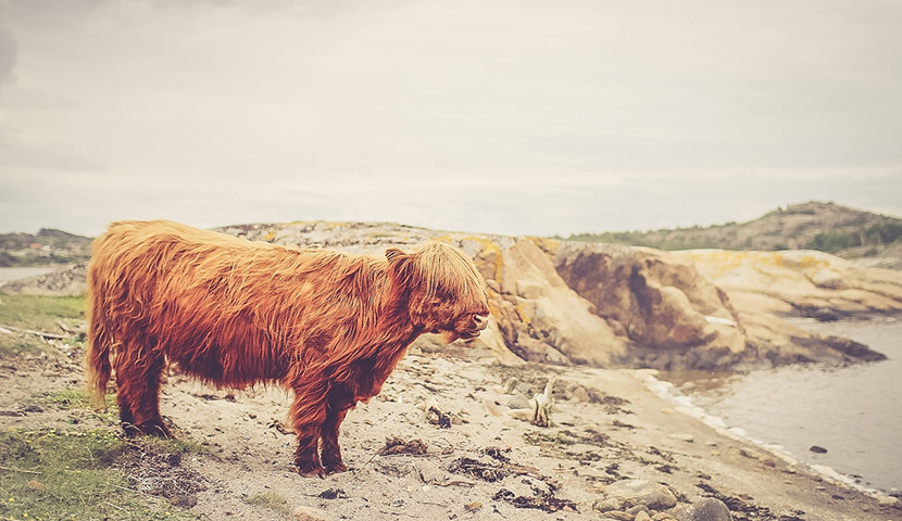 企业级安全可靠的网页攻击器教程