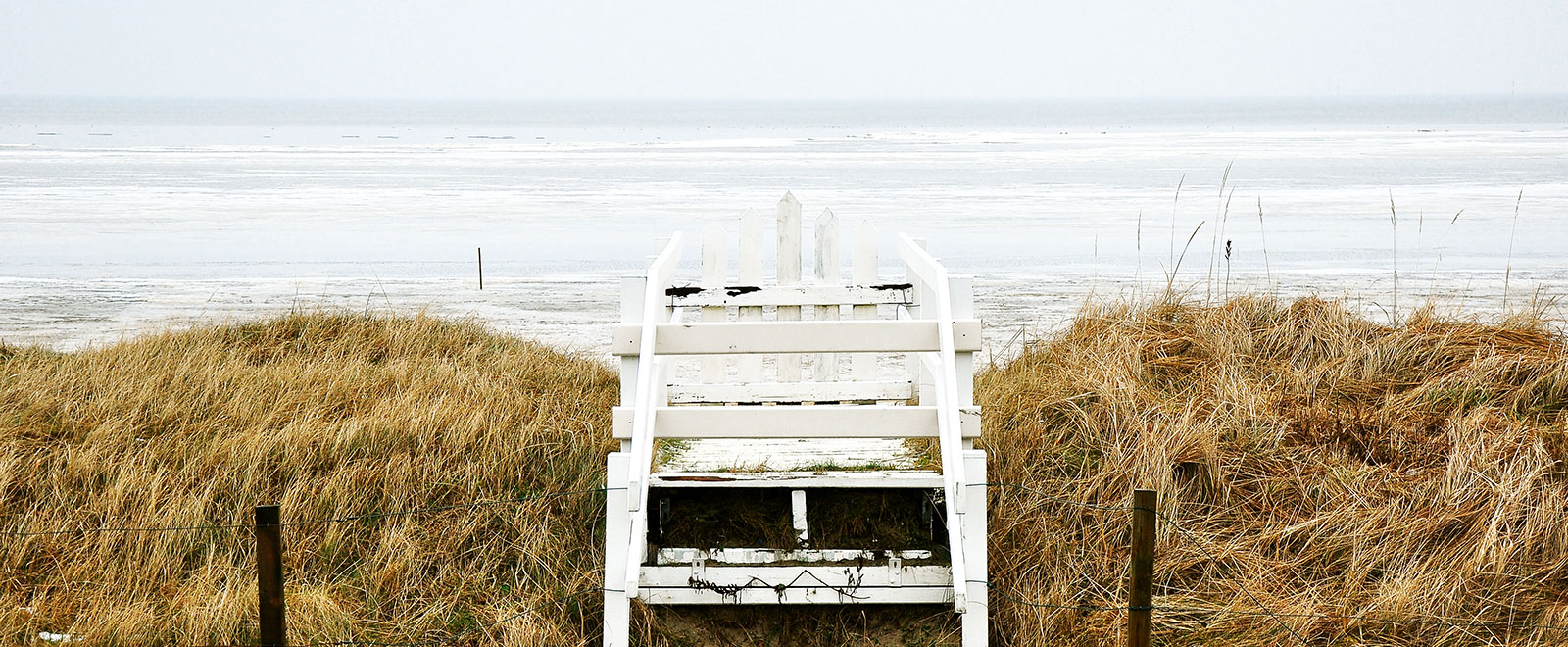 在线DDOS平台攻击