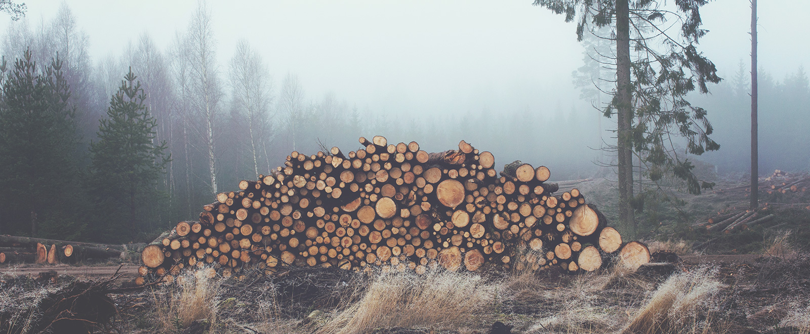 快速恢复数据的ddos测压网站